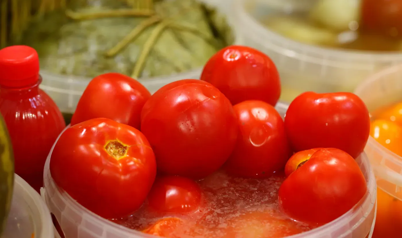 Come cucinare i pomodori a botte vigorosi a casa: semplice e gustoso