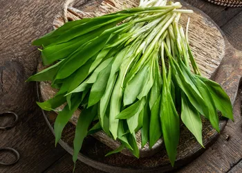 Con cosa cucinare il ramson: 5 ricette per piatti stagionali