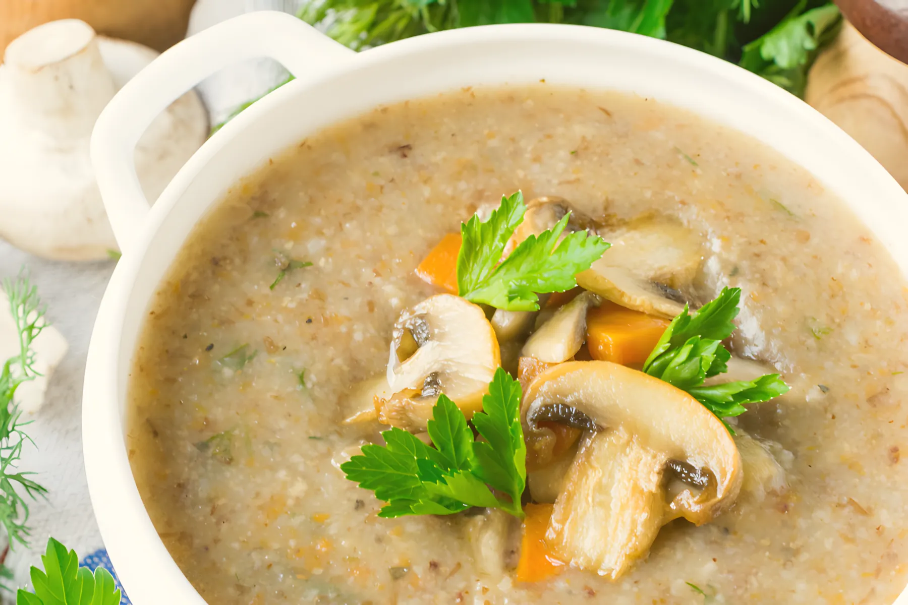 Zuppa in 30 minuti. Una ricetta semplice per una gustosa zuppa di pollo con grano saraceno e funghi