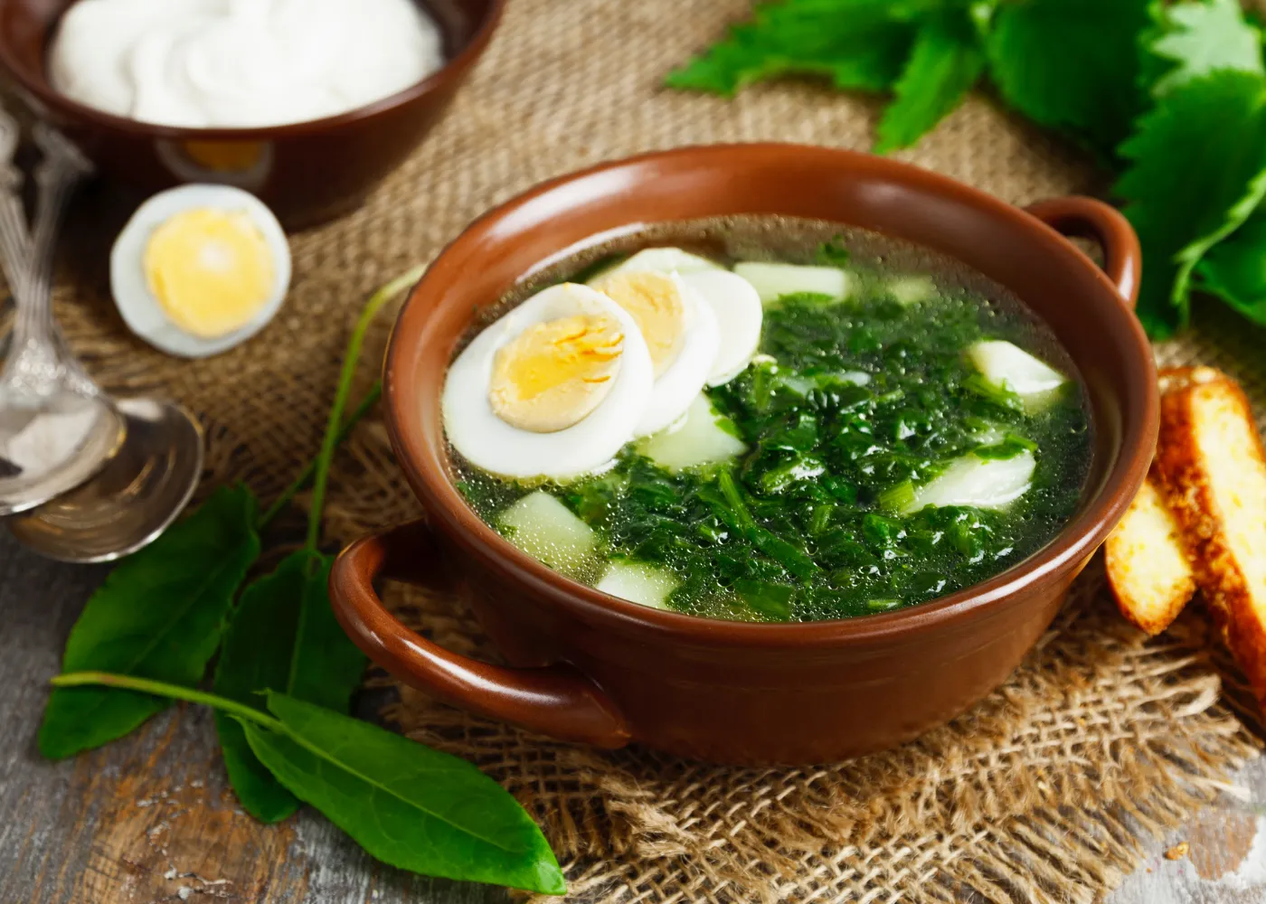 Zuppa verde con ortiche e acetosella - gustosa e sana, e facile da preparare